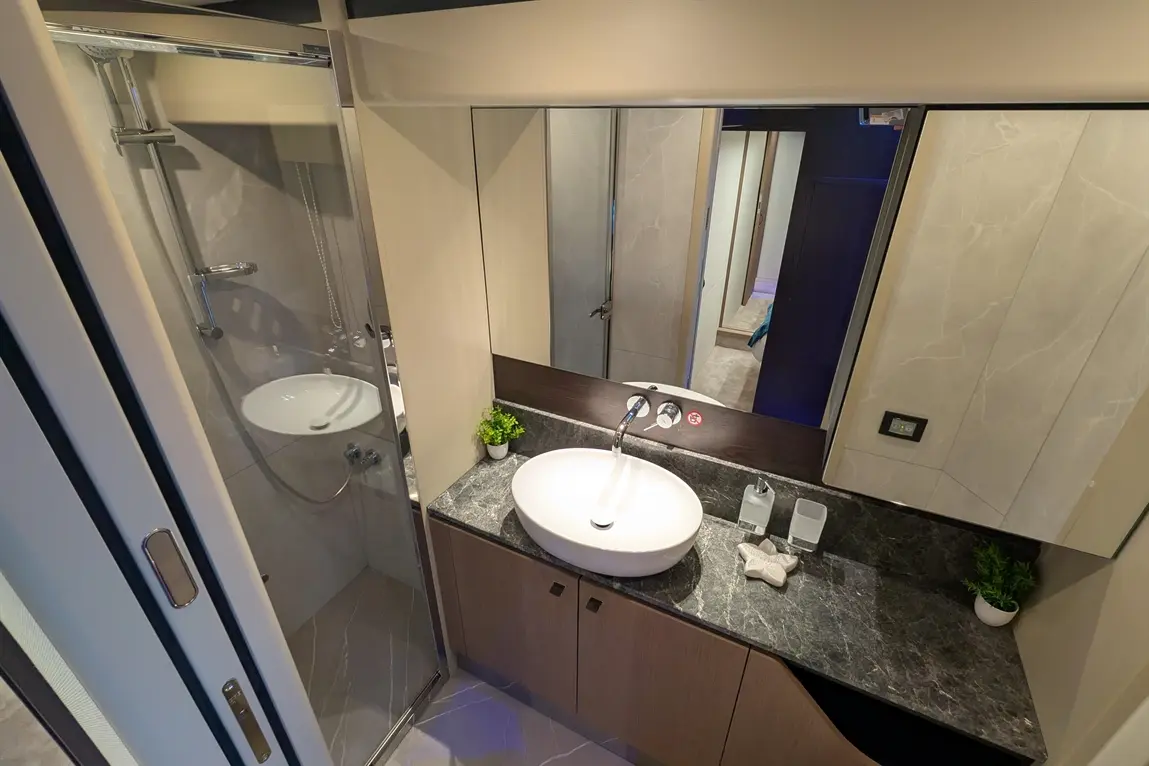 Modern bathroom featuring a shower cubicle, a round wash basin, and a countertop with decorative plants and toiletries.
